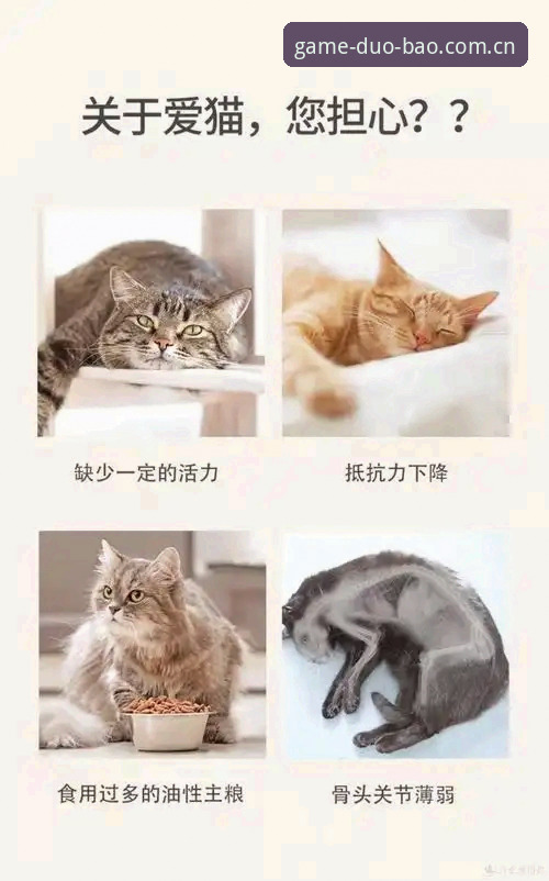 资深用户亲测：多宝体育登录入口2026最新版本使用心得，这些细节值得关注